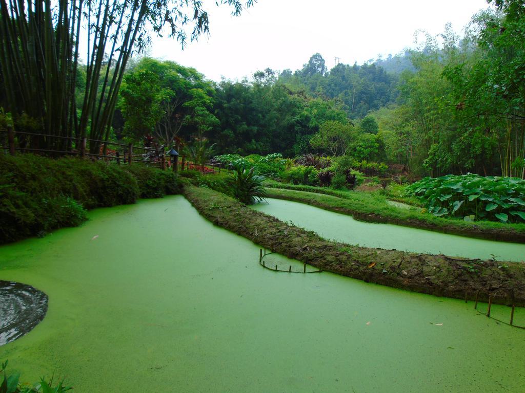Panhou Retreat Otel Ha Giang Dış mekan fotoğraf