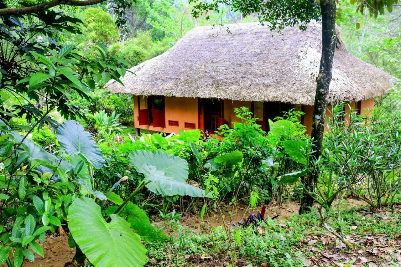 Panhou Retreat Otel Ha Giang Dış mekan fotoğraf